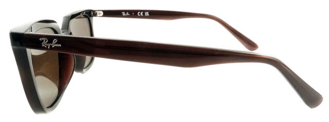 ���C�o���T���O���X4439D-623173-S54