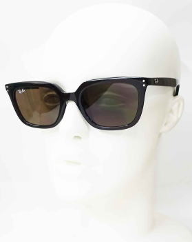 ���C�o���T���O���X4439D-623173-S54