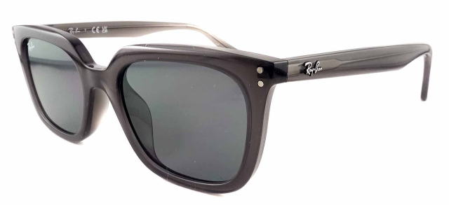 ���C�o���T���O���X4439D-6675-87-S54