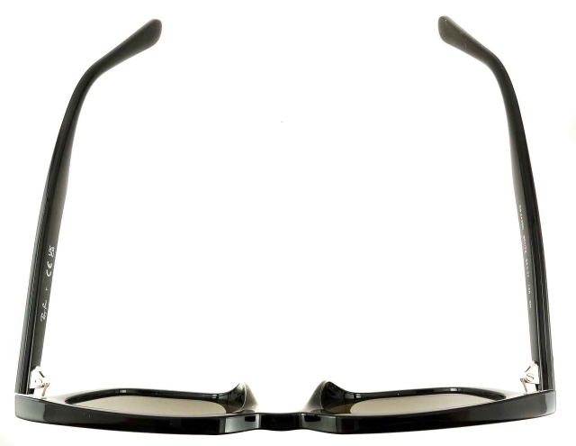 ���C�o���T���O���X4439D-901-73-S54