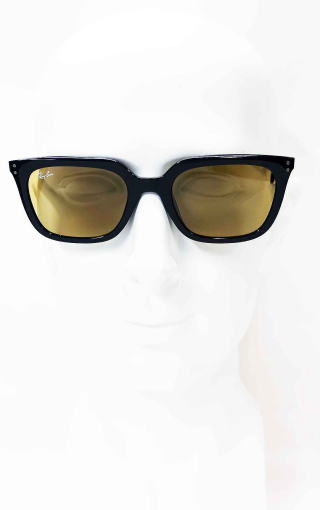 ���C�o���T���O���X4439D-901-73-S54