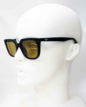 ���C�o���T���O���X4439D-901-73-S54