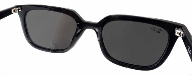 ���C�o���T���O���X4439D-901-87-S54