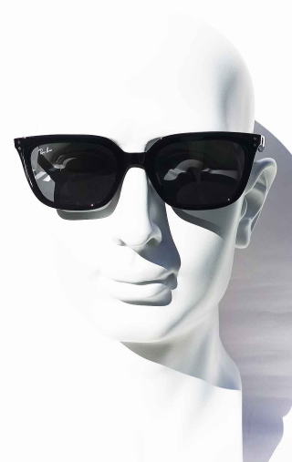 ���C�o���T���O���X4439D-901-87-S54